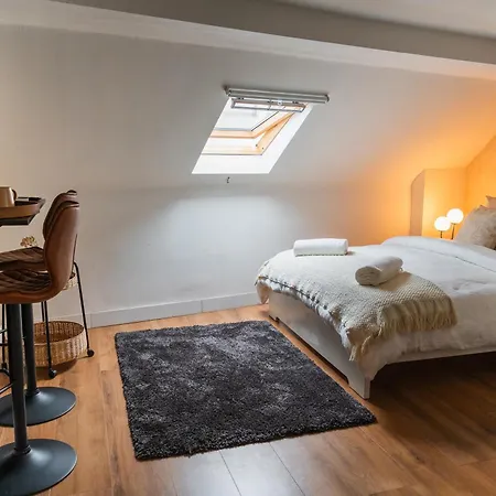 Elegant 5 Bedroom At Ghent's Core Gent