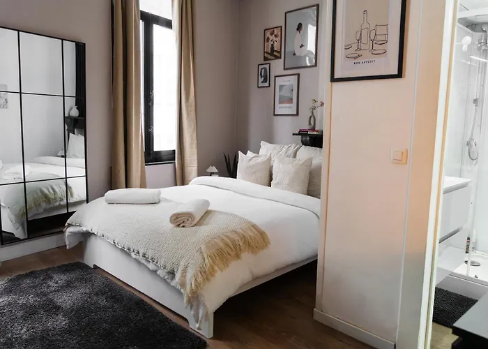 Elegant 5 Bedroom At Ghent's Core