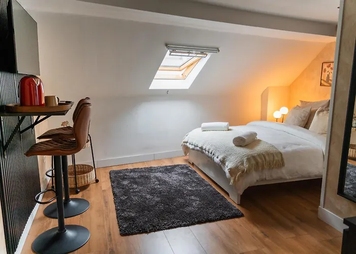 Elegant 5 Bedroom At Ghent's Core Gandawa