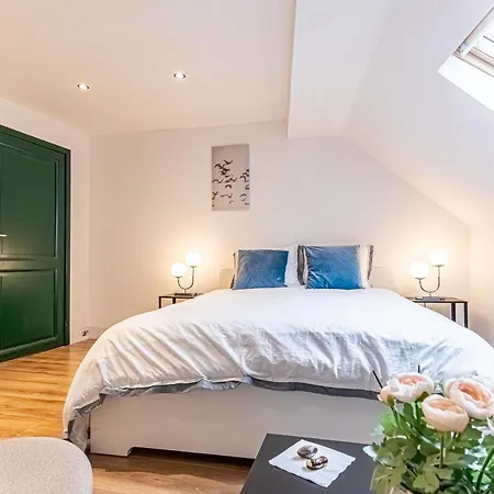 Elegant 5 Bedroom At Ghent's Core Appartement